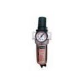 Akdeniz FR804 1/2” FR Tekli Şartlandırıcı
