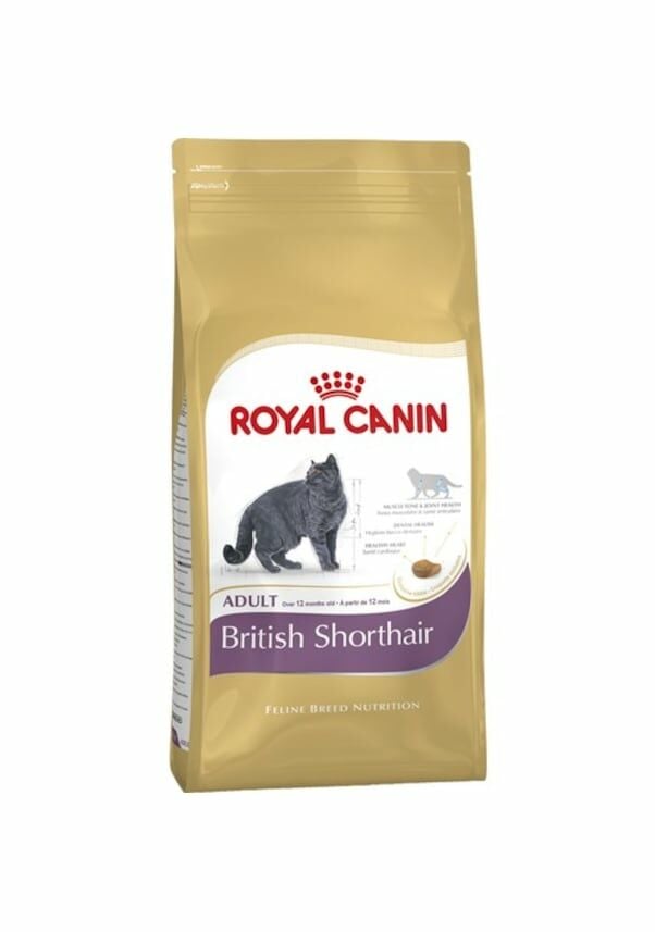 Royal Canin British Shorthair Yetişkin Kedi Maması 10 KG