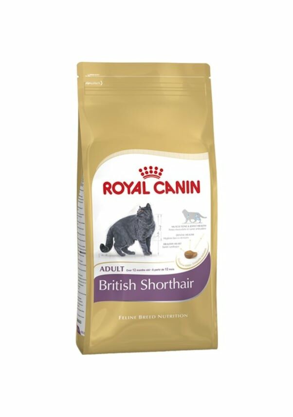 Royal Canin British Shorthair Yetişkin Kedi Maması 10 KG