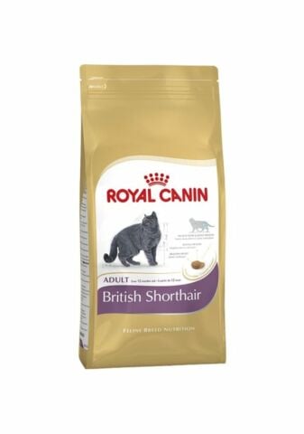 Royal Canin British Shorthair Yetişkin Kedi Maması 10 KG