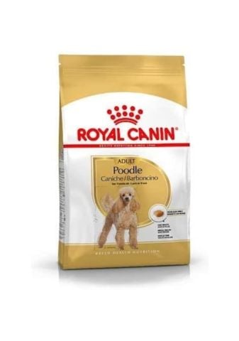 Royal Canin Adult Poodle Küçük Irk Yetişkin Köpek Maması 3 KG