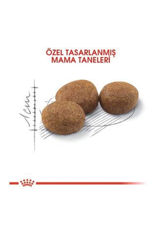 Royal Canin Sterilised 37 Kısırlaştırılmış Yetişkin Kedi Maması 4 KG