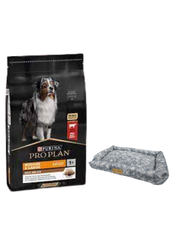 Pro Plan Duo Delice Orta ve Büyük Irk Yetişkin Köpek Maması 10 Kg,Mini Small Colours Yatak