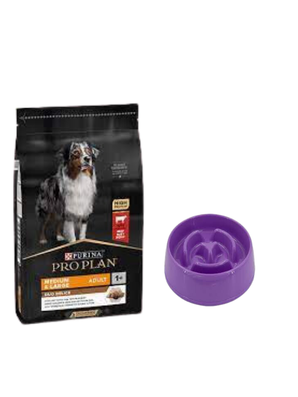 Pro Plan Duo Delice Orta ve Büyük Irk Yetişkin Köpek Maması 10 Kg,Yavaş Yeme Mama Kabı 775 Ml.