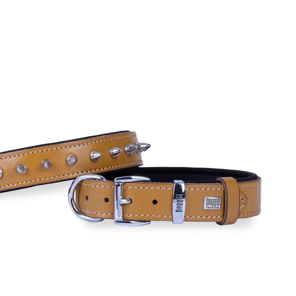 Doggie Konfor Deri Çivili Boyun Tasması Kamel 2,5X37-45Cm