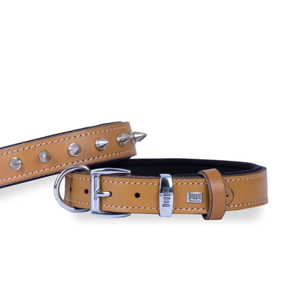 Doggie Konfor Deri Çivili Boyun Tasması Kamel 3X42-50Cm