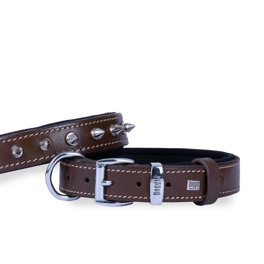 Doggie Konfor Deri Çivili Boyun Tasması Kahve 3X42-50Cm