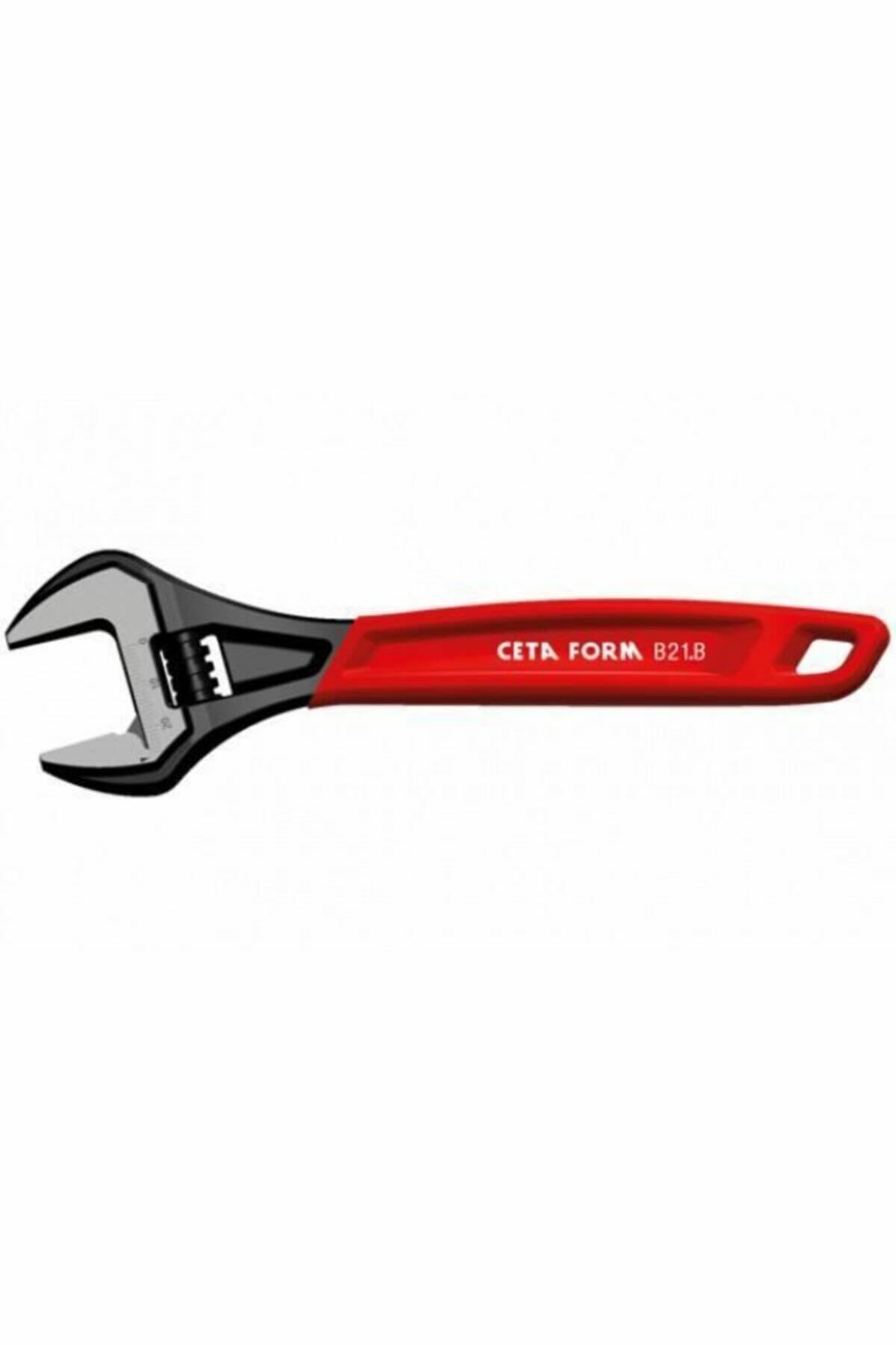 Cetaform B21-200B Serisi Kurbağacık Anahtar (Fosfat Kaplı-PVC Daldırma Saplı)