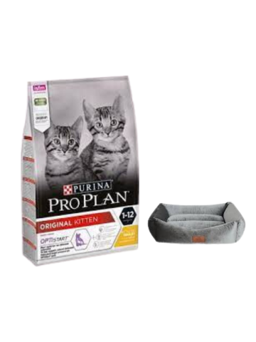 Pro Plan Kitten Tavuklu Yavru Kedi Maması 10 Kg,Mini Small Gri Yatak