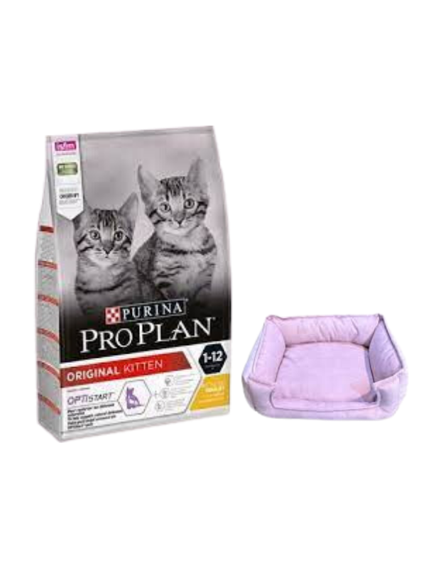 Pro Plan Kitten Tavuklu Yavru Kedi Maması 10 Kg,Mini Small Mor Yatak
