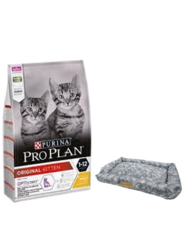 Pro Plan Kitten Tavuklu Yavru Kedi Maması 10 Kg,Mini Small Colours Yatak