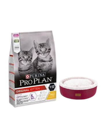 Pro Plan Kitten Tavuklu Yavru Kedi Maması 10 Kg,Bordo Mia Donut Yatak