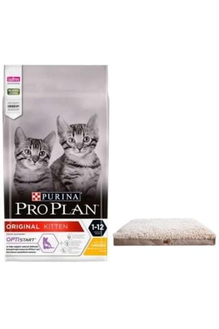 Pro Plan Kitten Tavuklu Yavru Kedi Maması 3 Kg + Lepus Pophidic Yatak