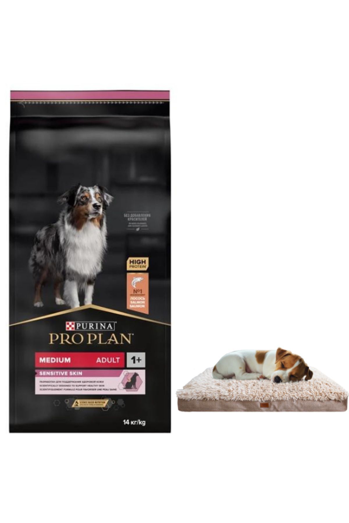 Pro Plan Adult Somonlu Medium Hassas Köpek Maması 14 Kg + Lepus Pophidic Yatak
