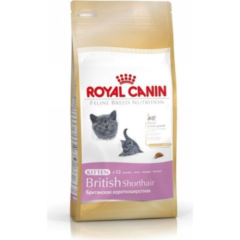 Royal Canin British Shorthair Için Özel Yavru Kedi Mamasi 2 Kg