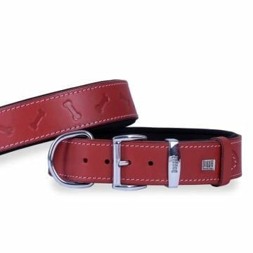 Doggie Konfor Deri Kemik Desenli Boyun Tasması Kırmızı 4X47-55Cm