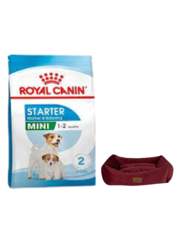 Royal Canin Mini Starter Mother&Babydog Köpek Maması 4 Kg, Mini Small Bordo Yatak