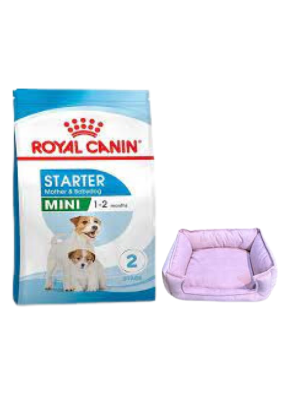 Royal Canin Mini Starter Mother&Babydog Köpek Maması 4 Kg, Mini Small Mor Yatak