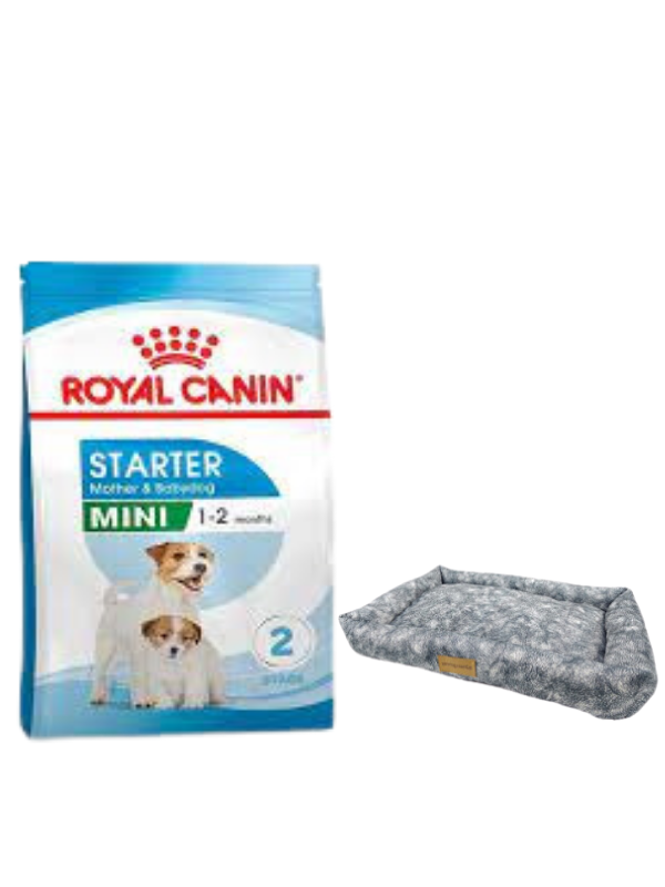 Royal Canin Mini Starter Mother&Babydog Köpek Maması 4 Kg, Mini Small Colours Yatak
