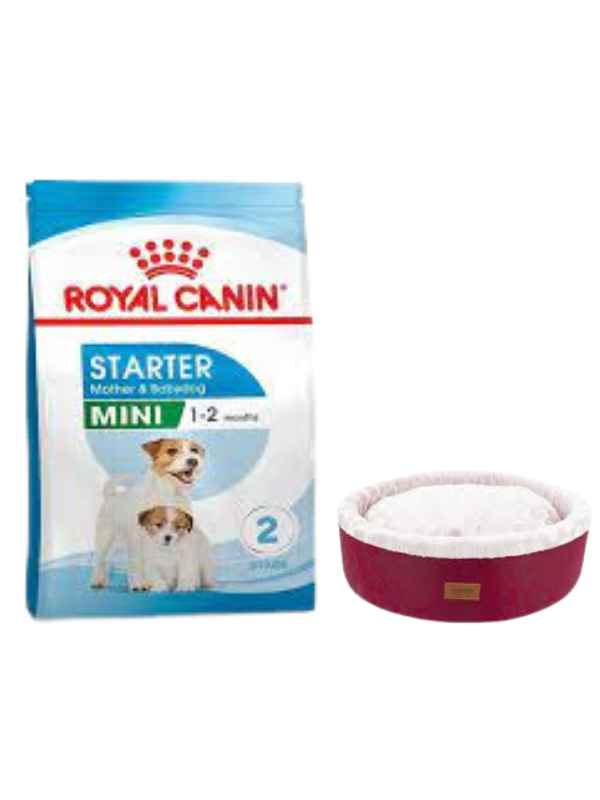 Royal Canin Mini Starter Mother&Babydog Köpek Maması 4 Kg, Bordo Mia Donut Yatak