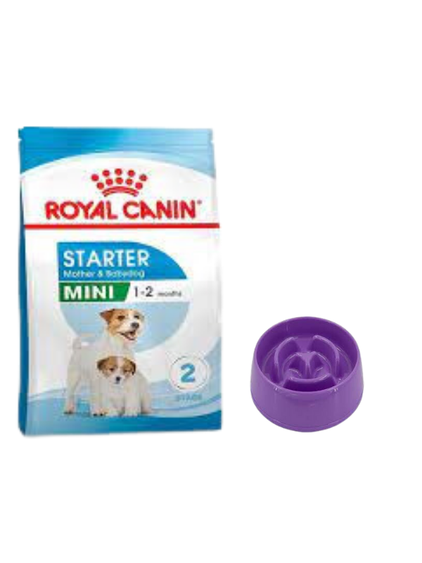 Royal Canin Mini Starter Mother&Babydog Köpek Maması 4 Kg, Yavaş Yeme Mama Kabı 175 Ml.
