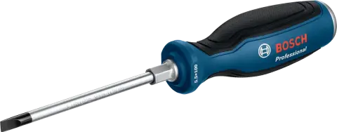 Bosch Tornavida SL 5,5x100 mm Profesyonel