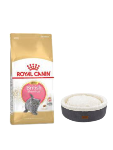 Royal Canin British Shorthair Kitten Yavru Kuru Kedi Maması  2 Kg,Gri Mia Donut Yatak