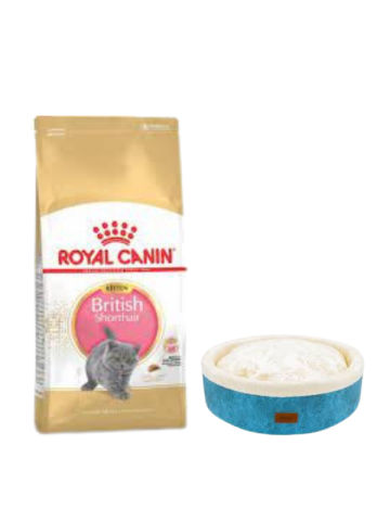 Royal Canin British Shorthair Kitten Yavru Kuru Kedi Maması  2 Kg,Mavi Mia Donut Yatak