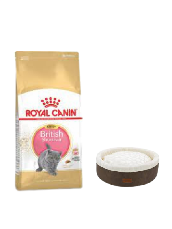 Royal Canin British Shorthair Kitten Yavru Kuru Kedi Maması  2 Kg,Kahve Mia Donut Yatak