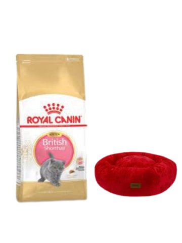 Royal Canin British Shorthair Kitten Yavru Kuru Kedi Maması  2 Kg,Kırmızı Luxe Donut Yatak