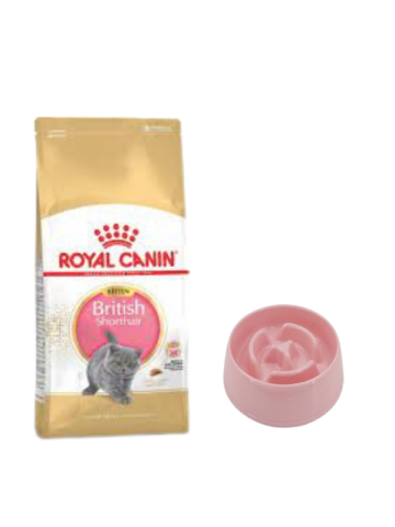 Royal Canin British Shorthair Kitten Yavru Kuru Kedi Maması  2 Kg,Yavaş Yeme Mama Kabı 175 Ml.