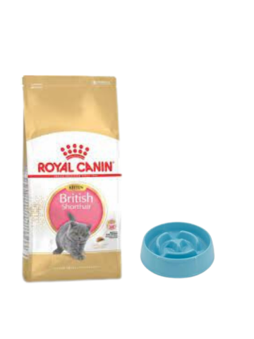 Royal Canin British Shorthair Kitten Yavru Kuru Kedi Maması  2 Kg,Yavaş Yeme Mama Kabı 375 Ml.