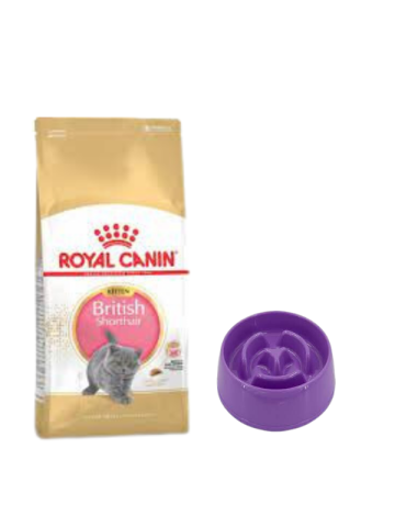Royal Canin British Shorthair Kitten Yavru Kuru Kedi Maması  2 Kg,Yavaş Yeme Mama Kabı 775 Ml.