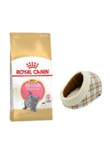 Royal Canin British Shorthair Kitten Yavru Kuru Kedi Maması  2 Kg,Mia Alaska Ekose Krem Yatak