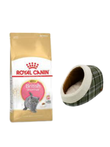 Royal Canin British Shorthair Kitten Yavru Kuru Kedi Maması  2 Kg,Mia Alaska Ekose Yeşil Yatak