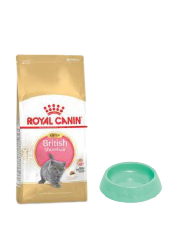 Royal Canin British Shorthair Kitten Yavru Kuru Kedi Maması  2 Kg,Yuvarlak Su ve Mama Kabı