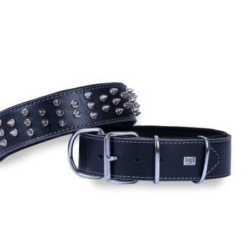 Doggie Güçlü Deri Çivili Boyun Tasması Siyah 5X55-65Cm