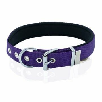 Doggie Konfor Dokuma Boyun Tasması Mor 2,5X37-45Cm