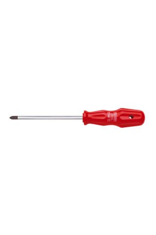 Ceta Form 4300/51M Torex Pozidriv Uçlu Tornavida -  Pz1 X 80 Mm