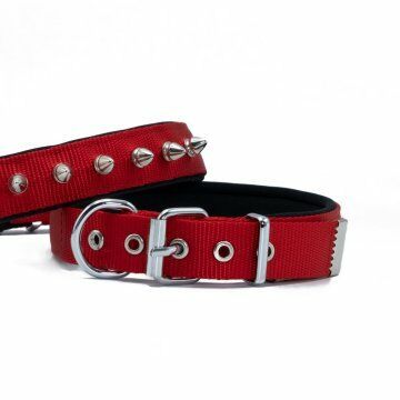 Doggie Konfor Dokuma Çivili Boyun Tasması Kırmızı 2,5X37-45Cm