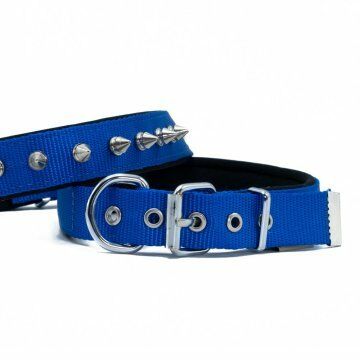Doggie Konfor Dokuma Çivili Boyun Tasması Royalmavi 2,5X37-45Cm