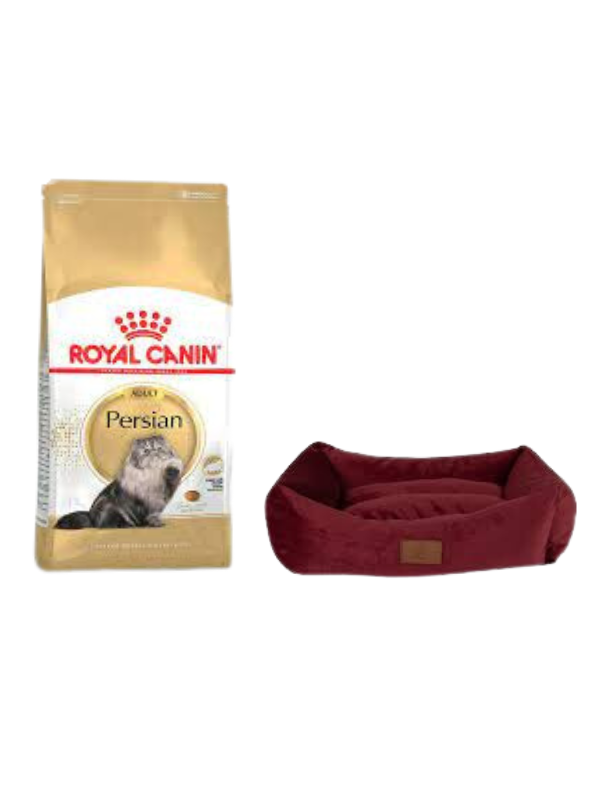Royal Canin Persian Yetişkin Kuru Kedi Maması 2 Kg,Mini Small Bordo Yatak
