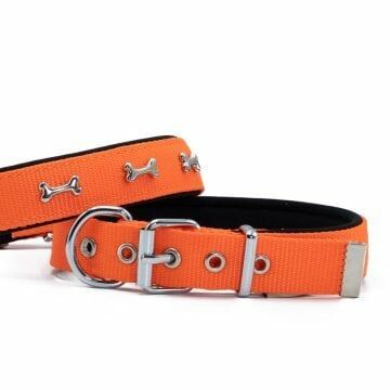 Doggie Konfor Dokuma Kemikli  Boyun Tasması Turuncu 2,5X42-50Cm