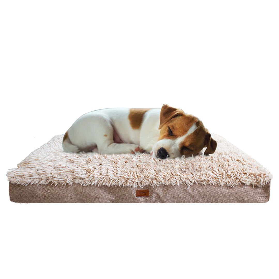 Lepus Pophidic Cushion Kedi / Köpek Yatakları Small 65x50x10cm