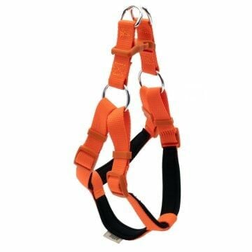 Doggie Konfor Dokuma Ronin Göğüs Tasması Turuncu 2X45-55Cm
