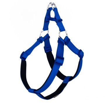Doggie Konfor Dokuma Ronin Göğüs Tasması Royalmavi 2,5X65-75Cm