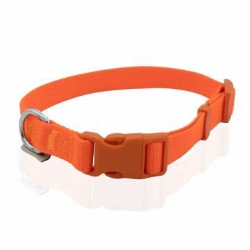 Doggie Klasik Dokuma Boyun Tasması Turuncu 2X30-45Cm