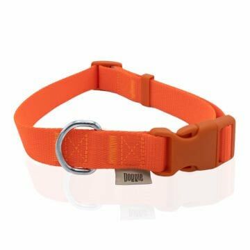 Doggie Klasik Dokuma Boyun Tasması Turuncu 2,5X40-50Cm