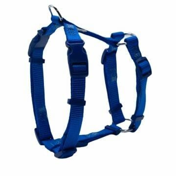 Doggie Ayarlı  Dokuma Göğüs Tasması Royalmavi 1,5X30-45Cm