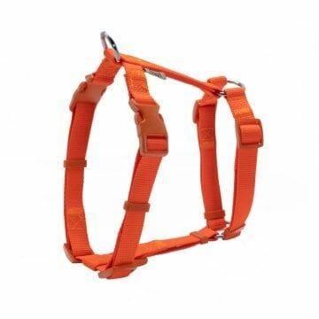 Doggie Ayarlı  Dokuma Göğüs Tasması Turuncu 1,5X30-45Cm